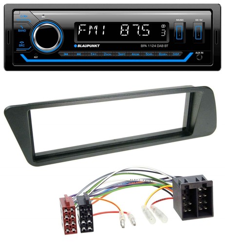 Blaupunkt bluetooth usb dab - blaupunkt,